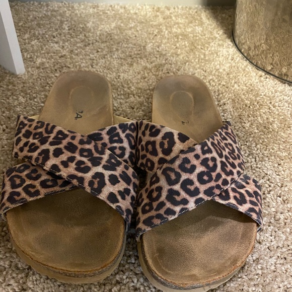 cheetah slides